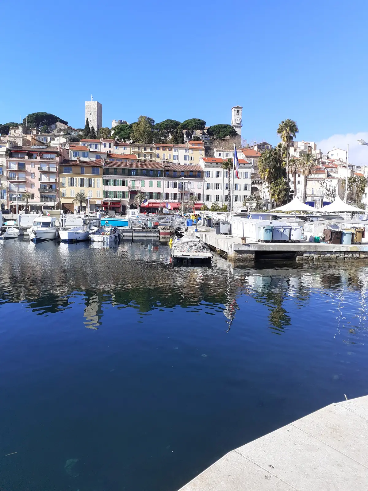 Le Suquet seen from the Old Port of Cannes